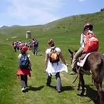 Benito * Norcia